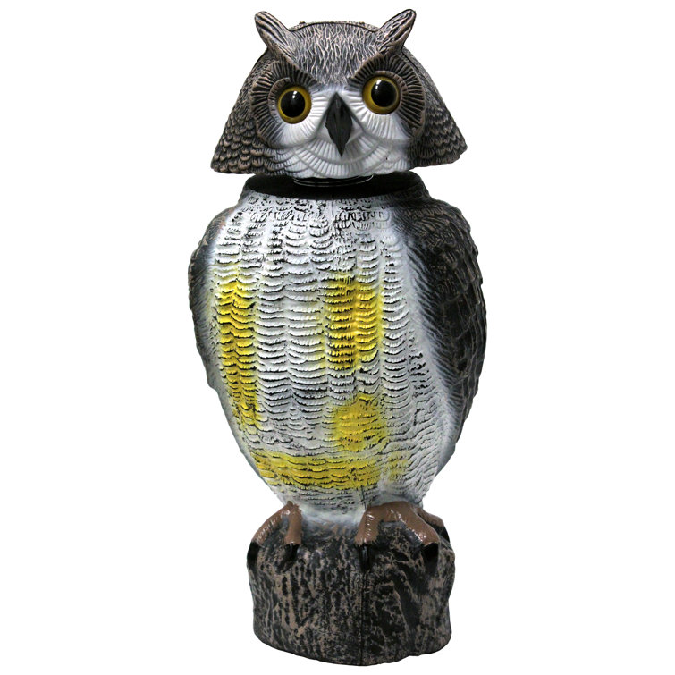 Millwood Pines Garden Owl Decoy Swivel Head 17.25" Tall Wayfair